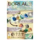 Boreal