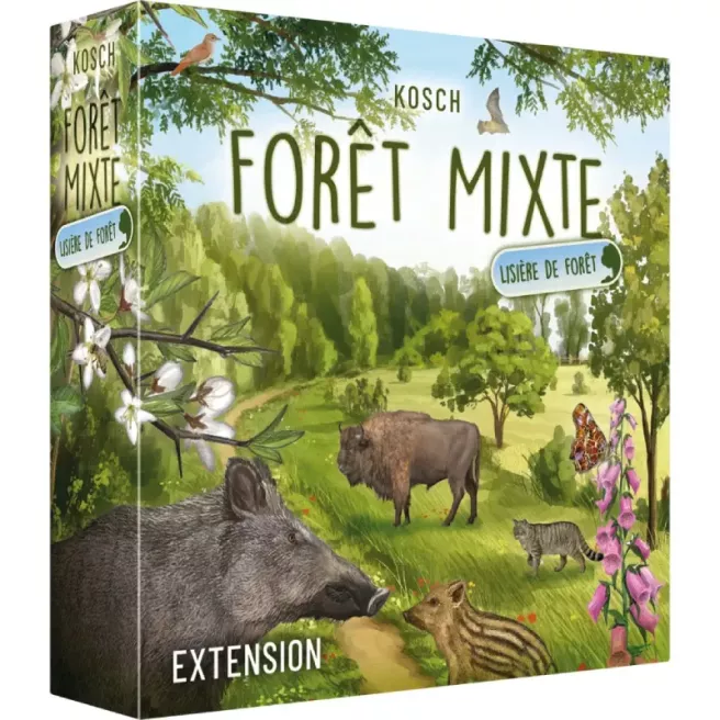 Forêt Mixte - Lisière de Forêt